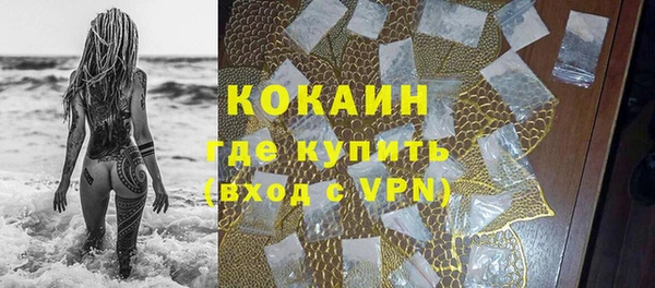 гашик Балахна