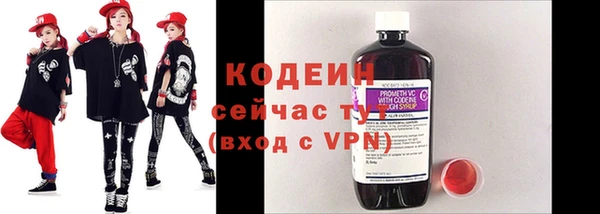 гашик Балахна