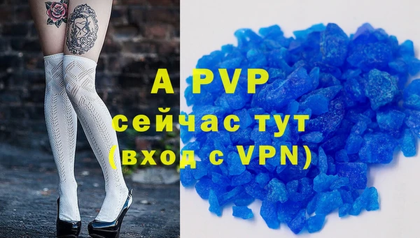 гашик Балахна