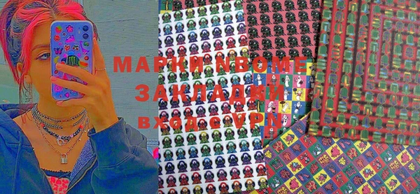 дмт Пересвет