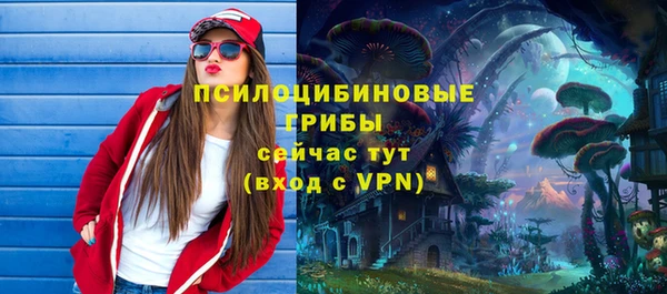 гашик Балахна